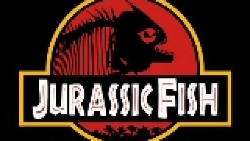 Résultats du concours d'affiches de film