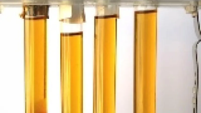 L'importance de la taille de l'échantillon de mains au poker