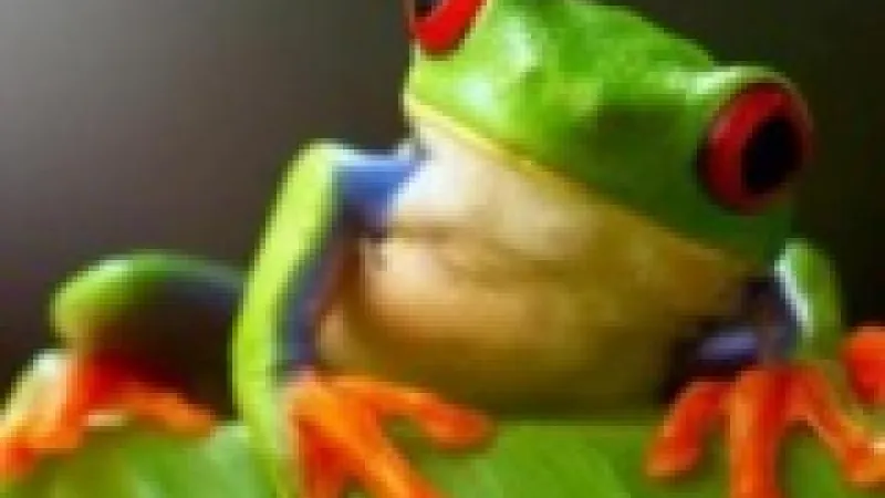 La prise de note en MTT : Kojacx121 deeprun le digestif de Winamax (1/2)