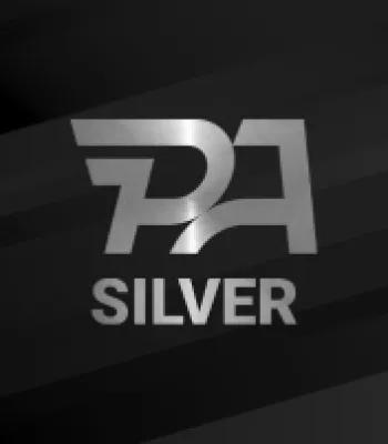 Statut silver 3 mois (-25%)