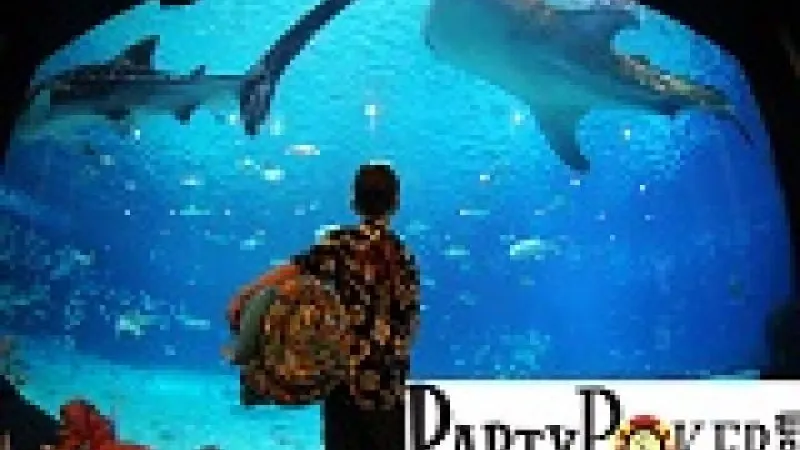 Ségrégation chez PartyPoker: l’opérateur protège les nouveaux joueurs des réguliers